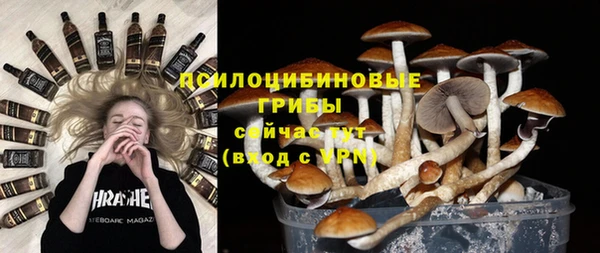 Альфа ПВП Аркадак